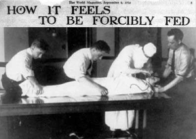 How It Feels to Be Forcibly Fed
